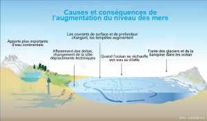 Causes-augmentation-niveau-mer