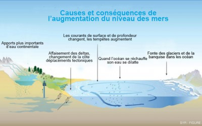 Les conséquences du réchauffement climatique à Mesquer : érosion des dunes et des falaises, submersions plus fréquentes et diminution des plages