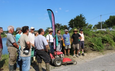 Création du groupe Baccharis le 21 juillet à 10h