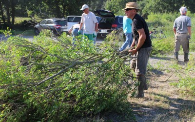 Coupe de Bacharis : c’est le 17 juillet 2015 rue de Bel-air, en face le camping soir d’été