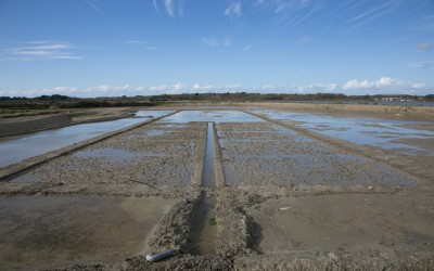 Au Bois-Jolin, Philippe PICAUD a commencé les travaux de restauration de la saline