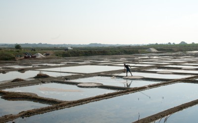 Cet été, donnez quelques heures pour faire connaitre la production de sel à Mesquer