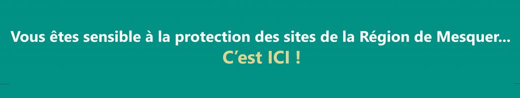 CEST-ICI