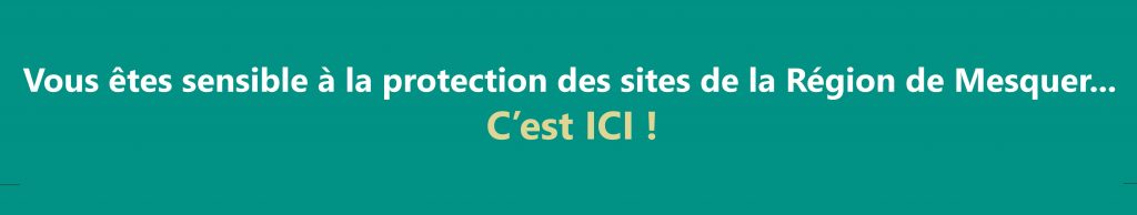 CEST-ICI