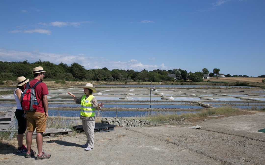 Visites de saline 2016 : près de 1000 visiteurs