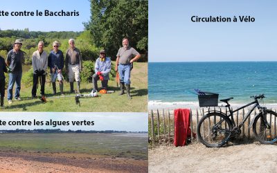 Circulation à Vélo – lutte contre le Baccharis- Algues vertes : Participez à une commission express le 24 août au matin