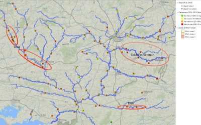 Algues vertes sur la Baie de Vilaine : rencontre avec l’IAV