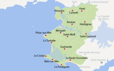 Baccharis : Notre demande de coordination à Cap-Atlantique