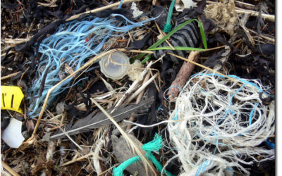 Nettoyage de plage à Lanséria confirmé pour le 24 -10-2020 à 10 h