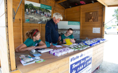 Comment participer à la protection de l’environnement, même très modestement