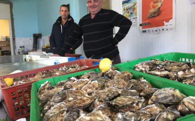 LA COVID a-t-elle eu un effet bénéfique sur la pollution et la ressource en mer sur la côte quimiacaise ?