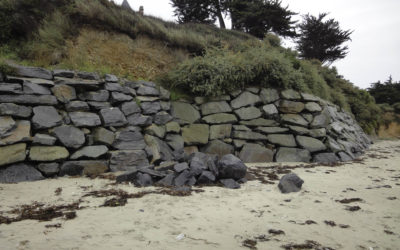 Dénaturation des falaises de la baie du Cabonnais : l’association fait venir un spécialiste
