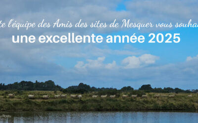 Bonne et heureuse année 2025