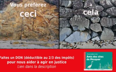 Faites un don pour participer à la protection des falaises de Mesquer