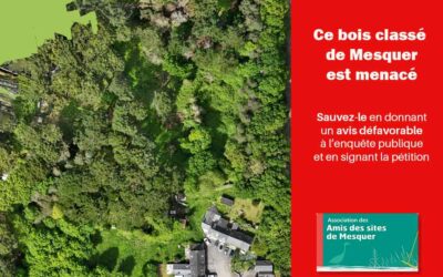 Le camping du petit bois : un espace boisé classé menacé par l&rsquo;implantation de 80 mobile-homes